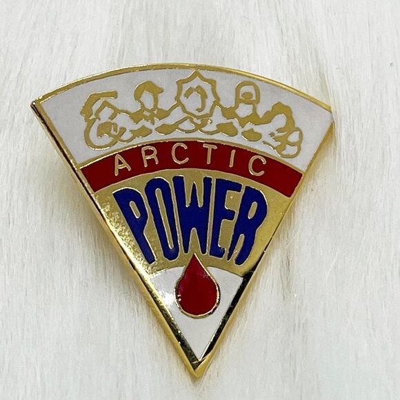 🔮 5/$25‎ Vintage Arctic Power Pin - Picture 1 of 3